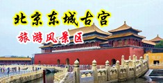 日黑鸡巴在线播放中国北京-东城古宫旅游风景区